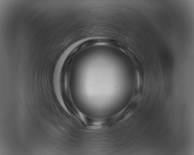 X0000081290575200701111402