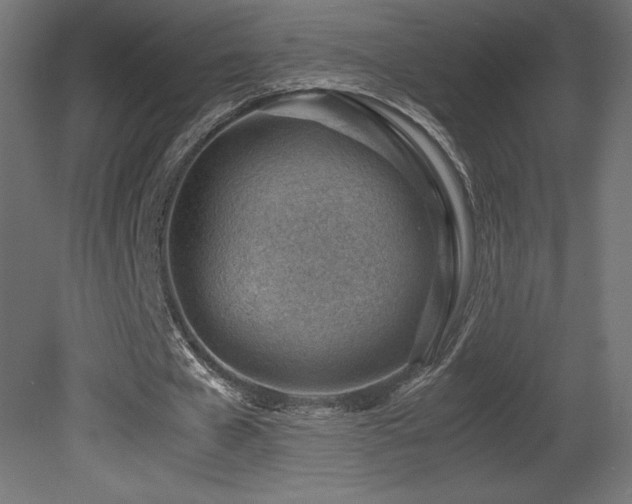 X0000081290577200701111401