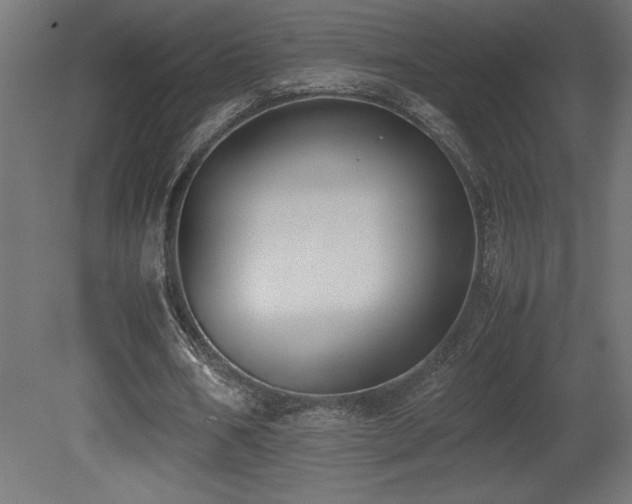 X0000081290578200701111401