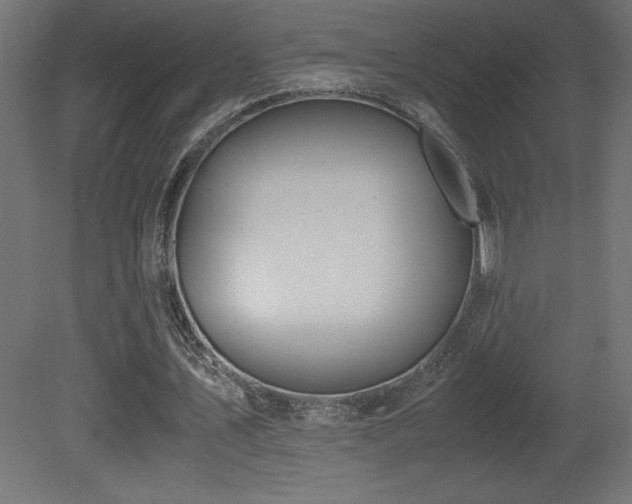X0000081290579200701111401