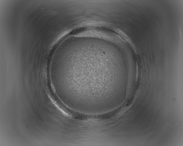 X0000081290581200701111401