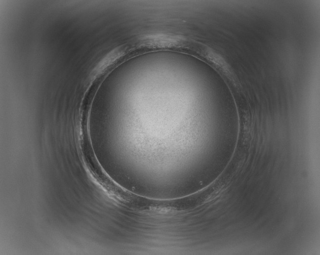 X0000081290582200701111401
