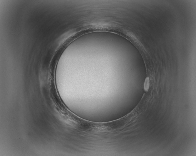 X0000081290583200701111401