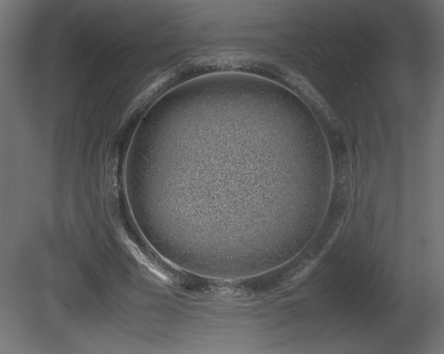 X0000081290585200701111401