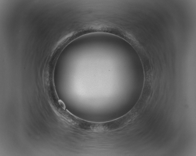 X0000081290587200701111401