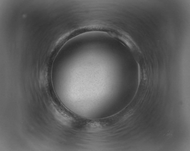 X0000081290588200701111401