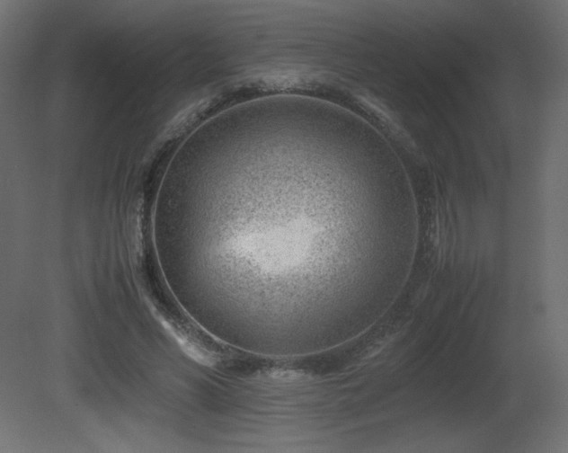 X0000081290590200701111401