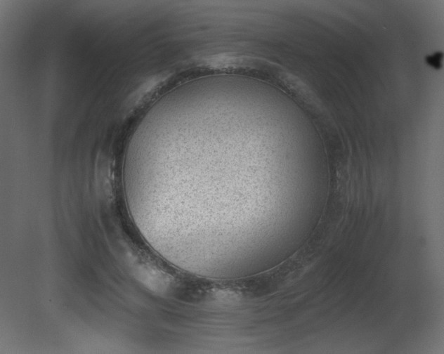 X0000081290592200701111401