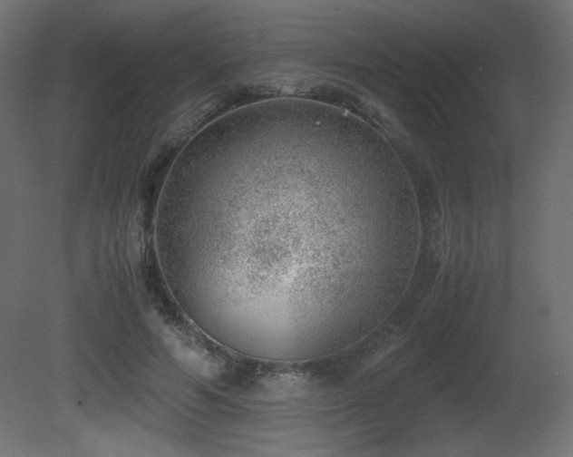 X0000081290594200701111400