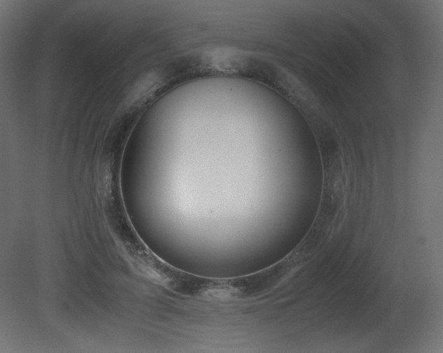 X0000081290595200701111400