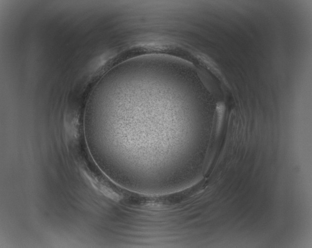 X0000081290596200701111400