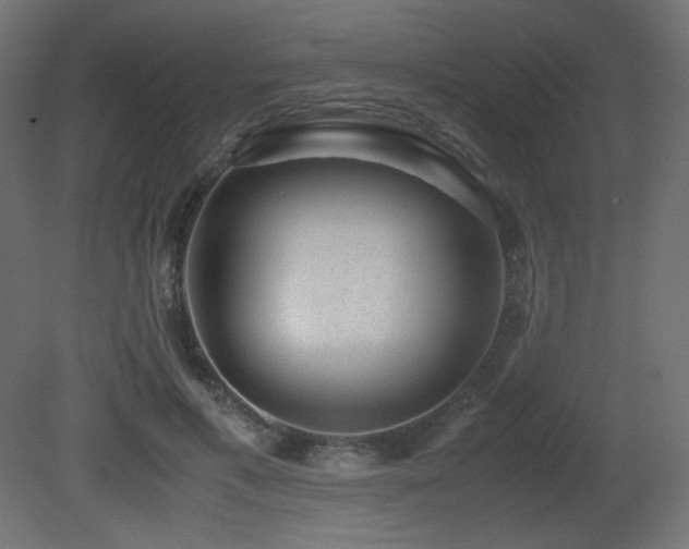 X0000081290597200701111400