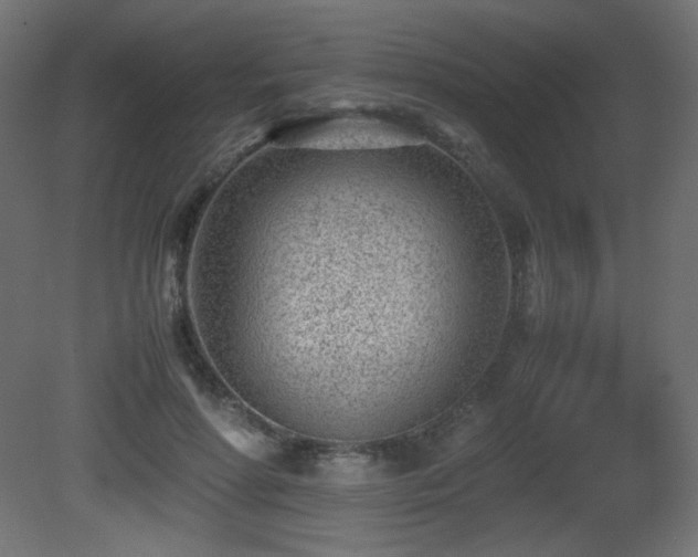 X0000081290598200701111400