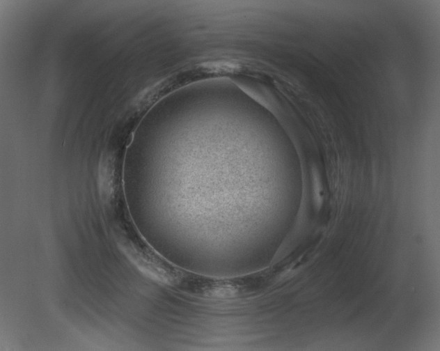 X0000081290600200701111400