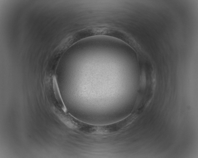 X0000081290601200701111400