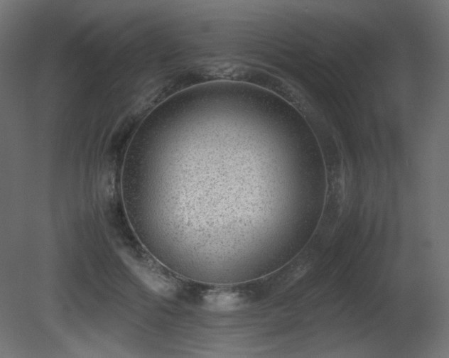 X0000081290602200701111400