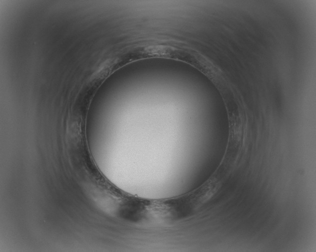X0000081290603200701111400