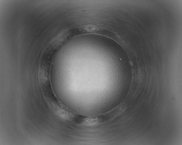 X0000081290606200701111400