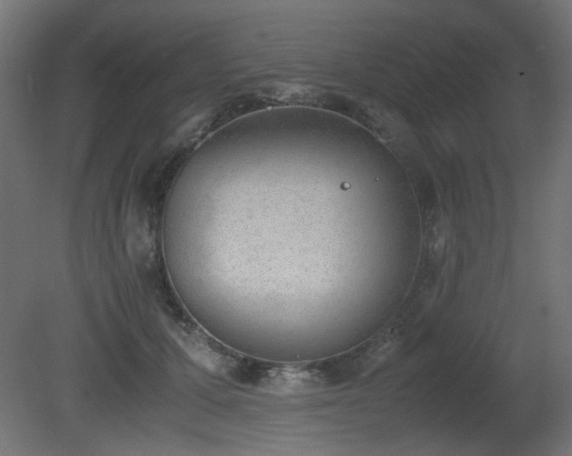 X0000081290607200701111400