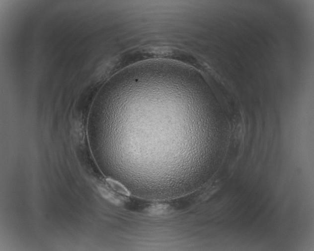 X0000081290609200701111400