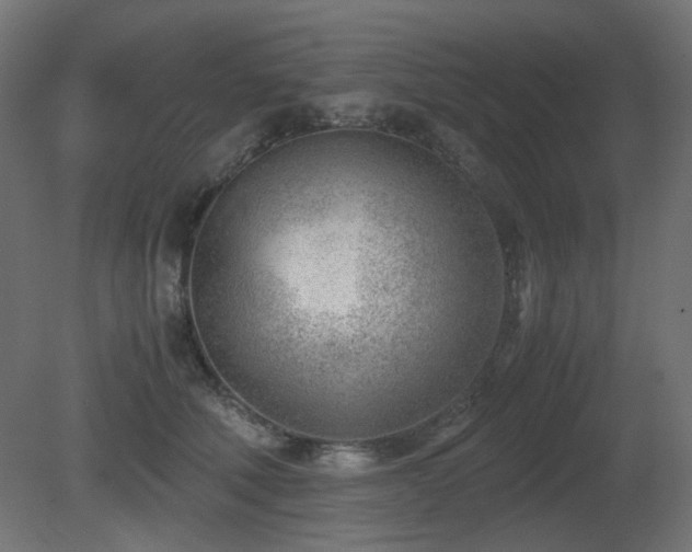 X0000081290610200701111400