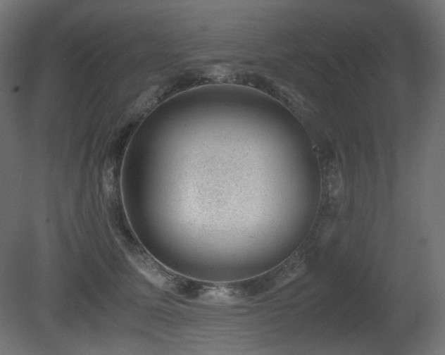 X0000081290611200701111400