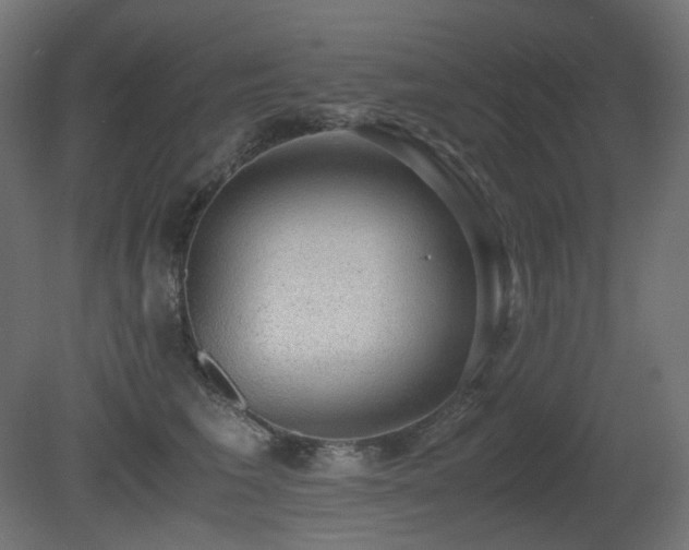 X0000081290613200701111400