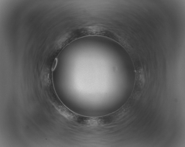 X0000081290615200701111400