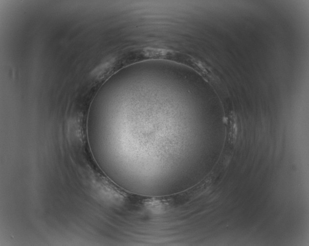 X0000081290616200701111400