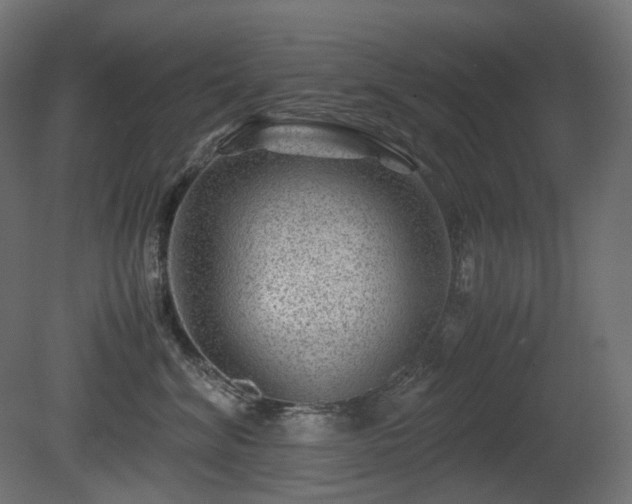X0000081290620200701111400