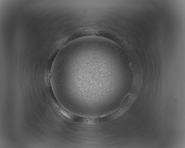 X0000081290624200701111400