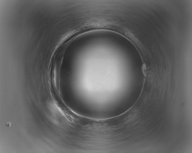 X0000081290626200701111359