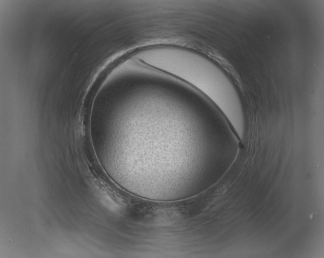 X0000081290628200701111359