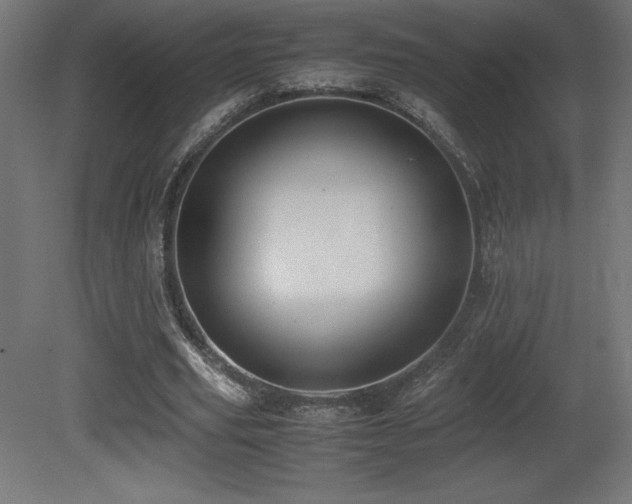 X0000081290629200701111359