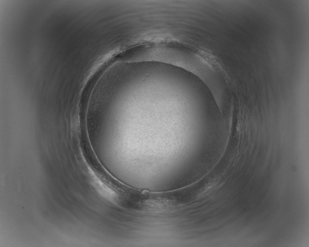 X0000081290630200701111359