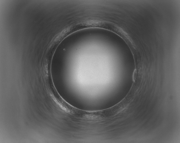 X0000081290633200701111359