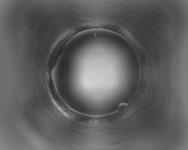 X0000081290634200701111359