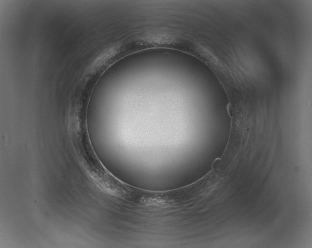 X0000081290635200701111359