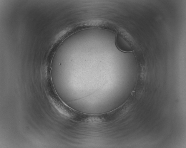 X0000081290636200701111359
