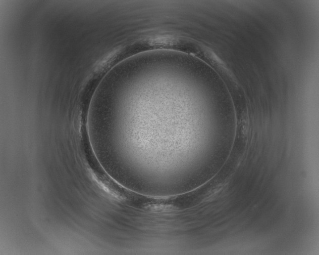 X0000081290637200701111359