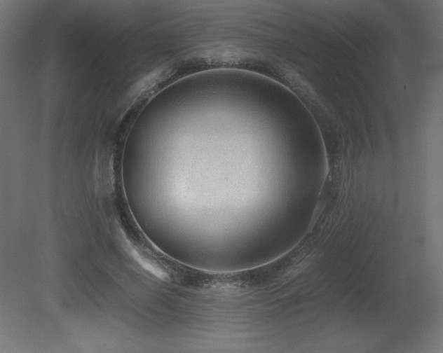 X0000081290638200701111359
