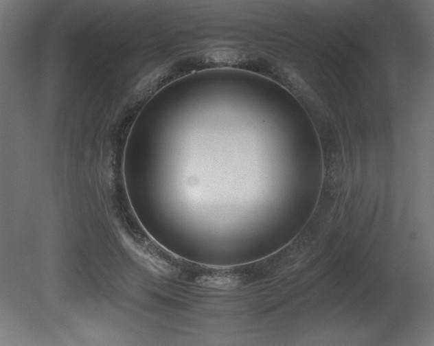 X0000081290639200701111359