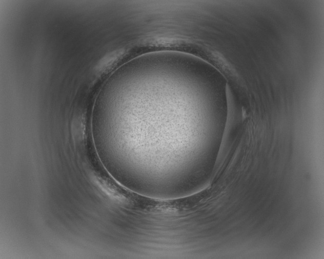 X0000081290640200701111359