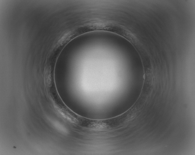 X0000081290642200701111359