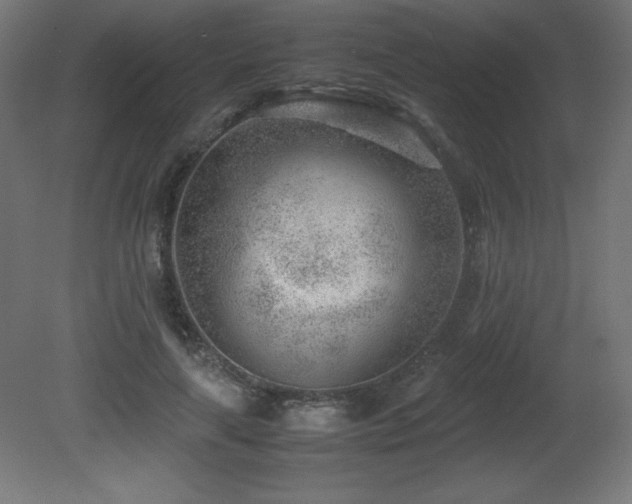 X0000081290643200701111359
