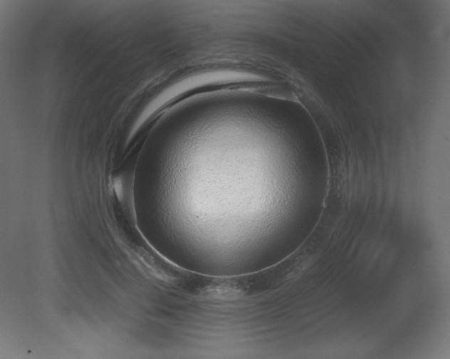 X0000081290644200701111359