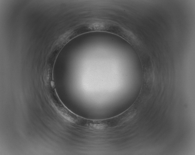 X0000081290645200701111359