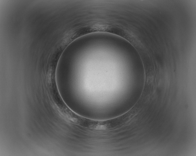 X0000081290647200701111400