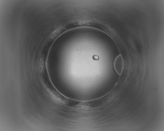X0000081290648200701111400