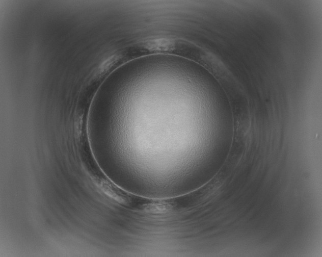 X0000081290652200701111400